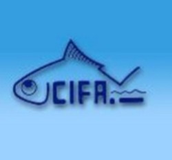 #CIFA Recruitment 2019 – Various Young Professional Posts | Apply Online